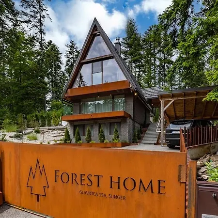 Forest Sunger